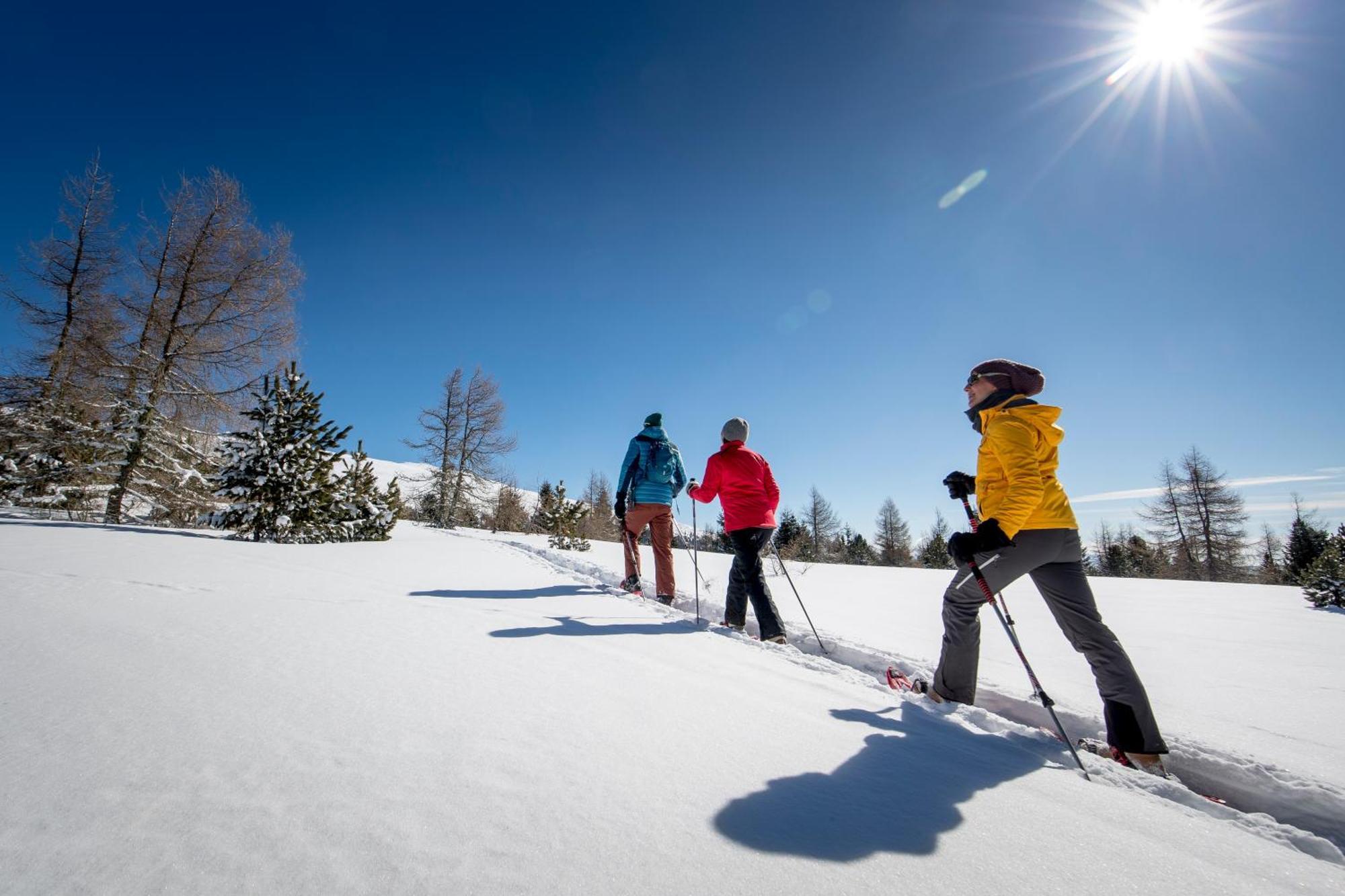 Feriendorf Murau By Alps Resorts Luaran gambar