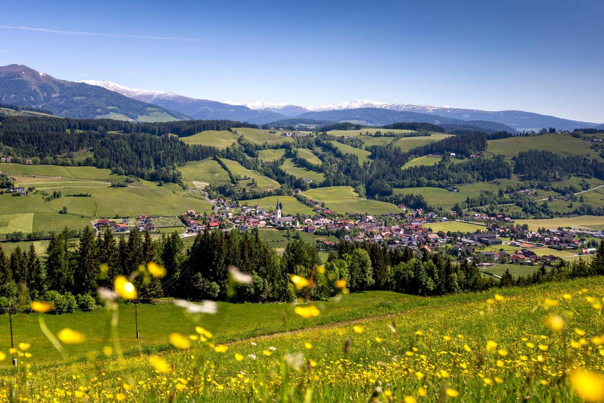 Feriendorf Murau By Alps Resorts Luaran gambar