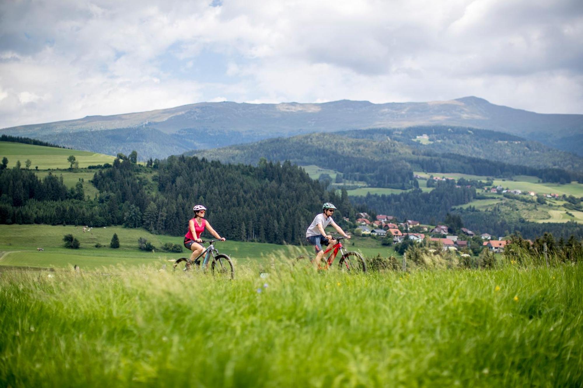 Feriendorf Murau By Alps Resorts Luaran gambar