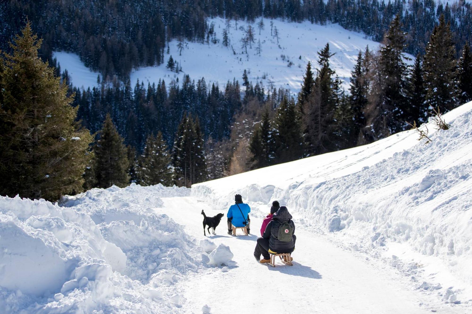 Feriendorf Murau By Alps Resorts Luaran gambar